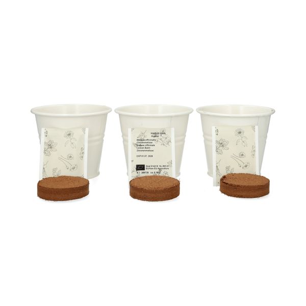Kweekset theekruiden, biologisch, set van 3 potjes