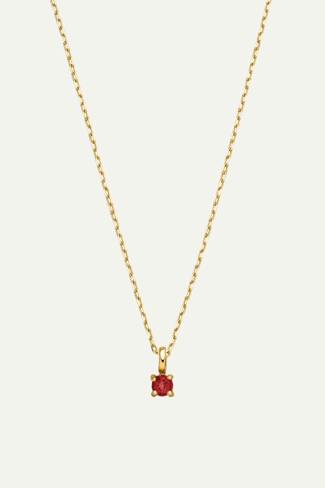 Dear Darling Berlin  Ketting Januari Geboortesteen 14k Echt Goud En Granaat