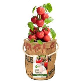 Kweektuintje Veggie en Fruittie