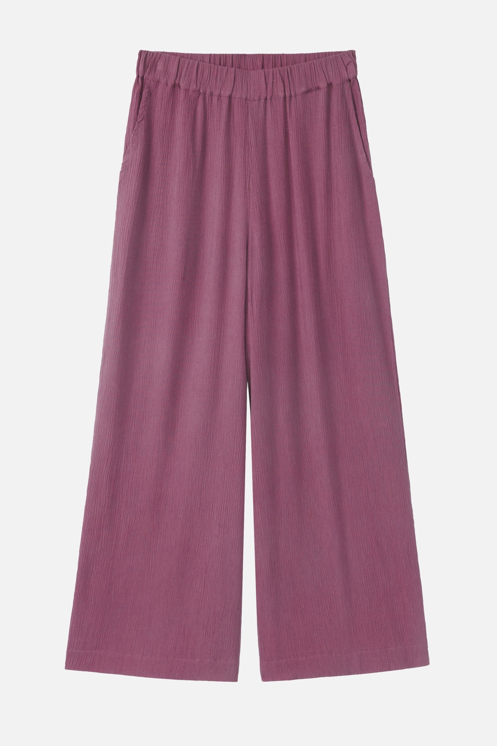 Recolution  Broek Mandevilla Donkere Tulp