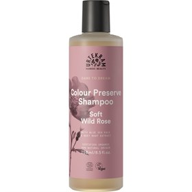 Soft Wild Rose