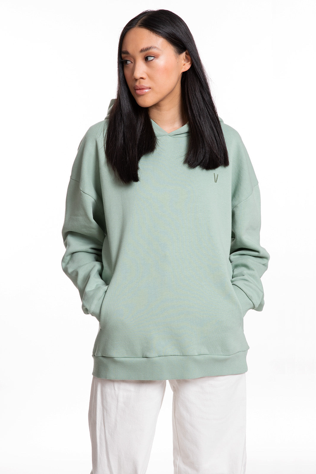 VATTER mannen vegan Hoodie Mellow Mika Ijsberg Groen