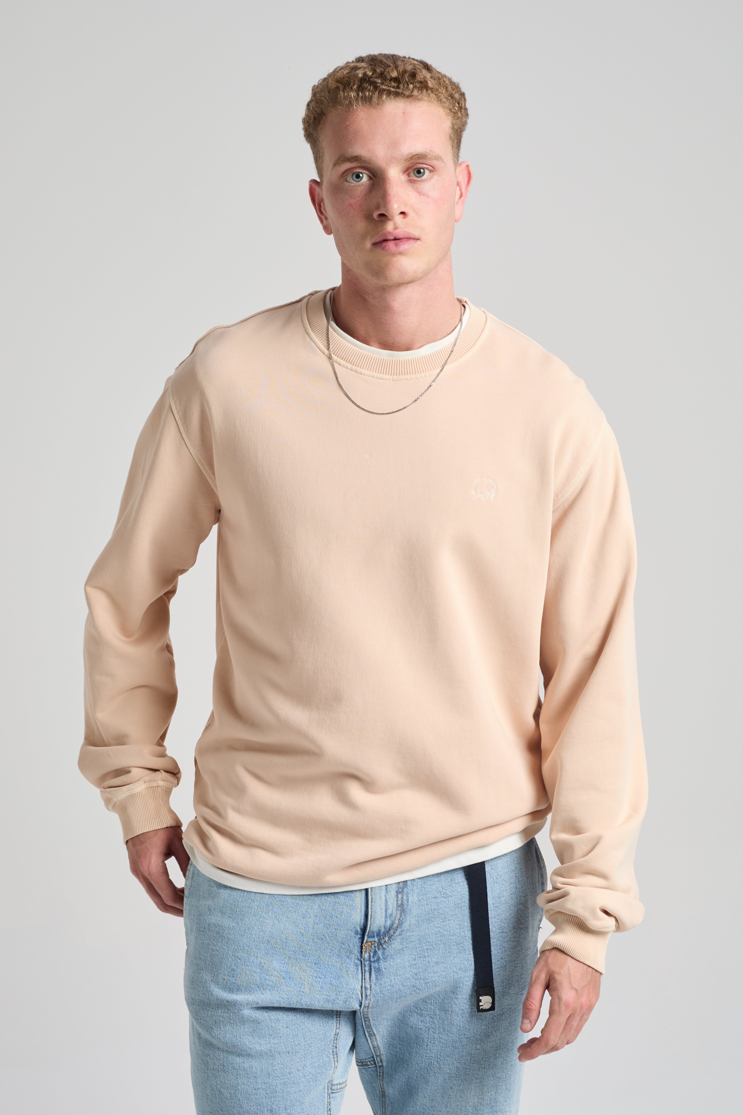Trendsplant mannen vegan Sweatshirt Essential Sunwashed Smoke Gray