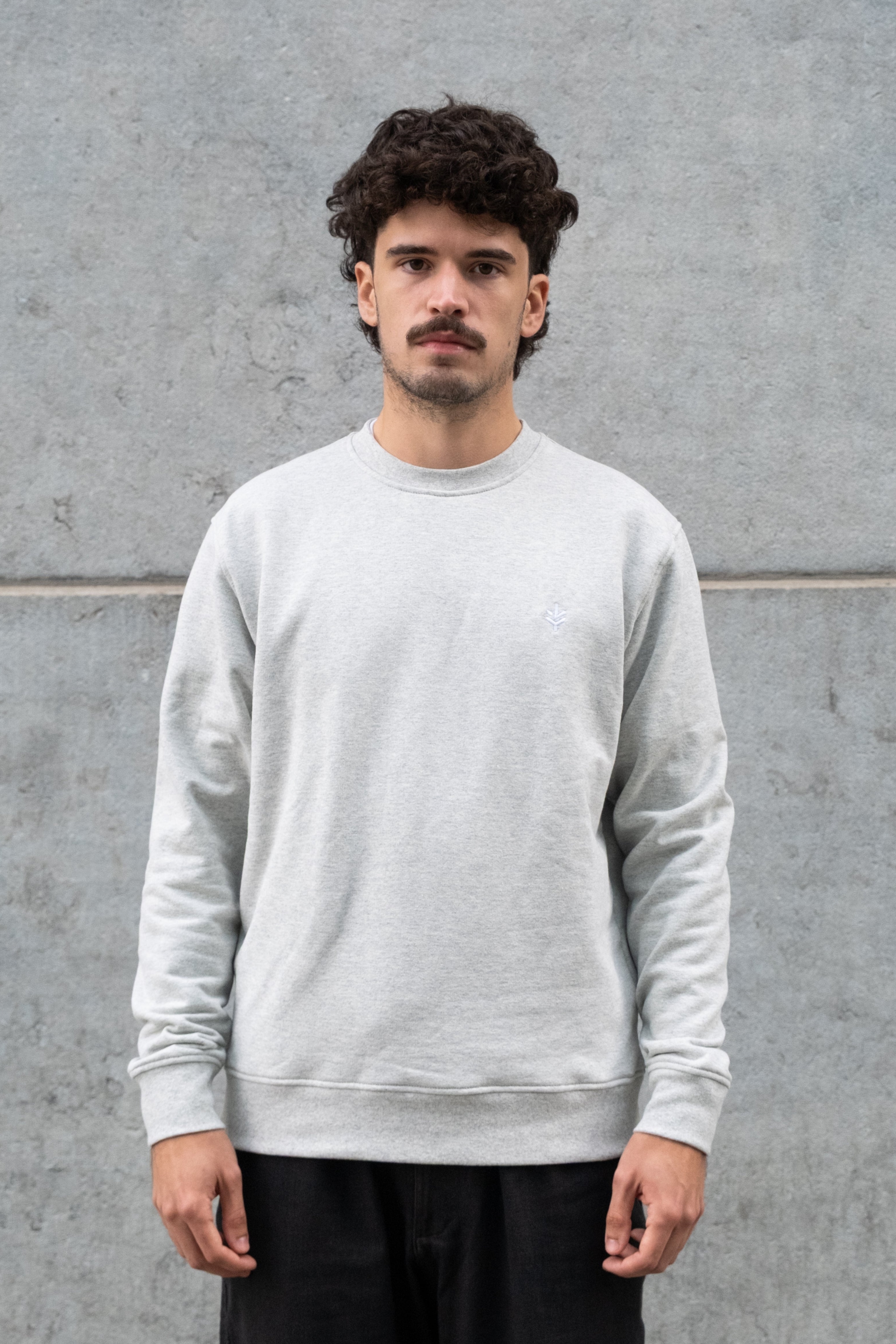 Lucid Collective mannen vegan Sweatshirt Just Heather Grey