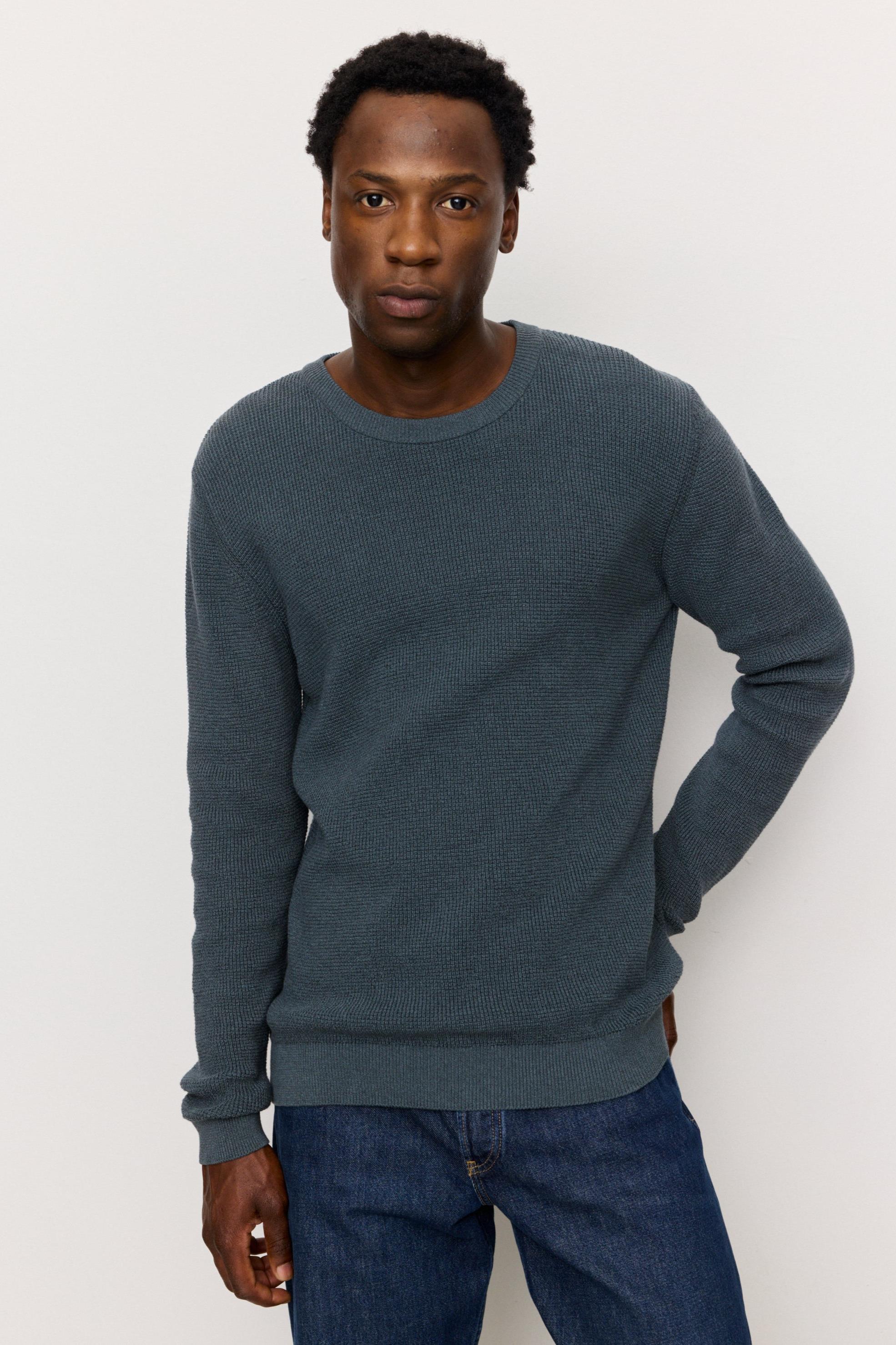 Recolution mannen vegan Trui Bacopa Teal