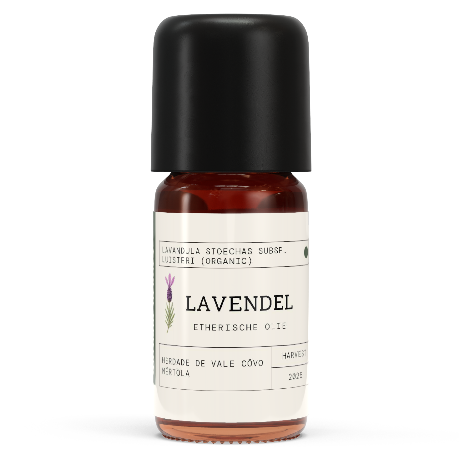 Lavendel EO - Lavandula stoechas subsp. Luisieri