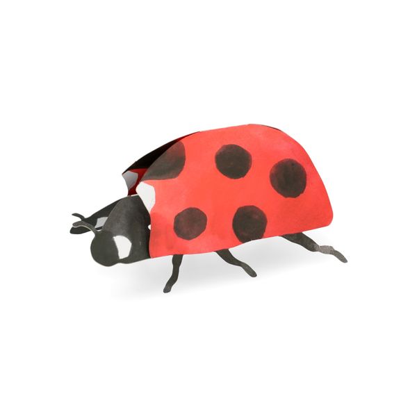 Kaart 3D met envelop, lieveheersbeestje