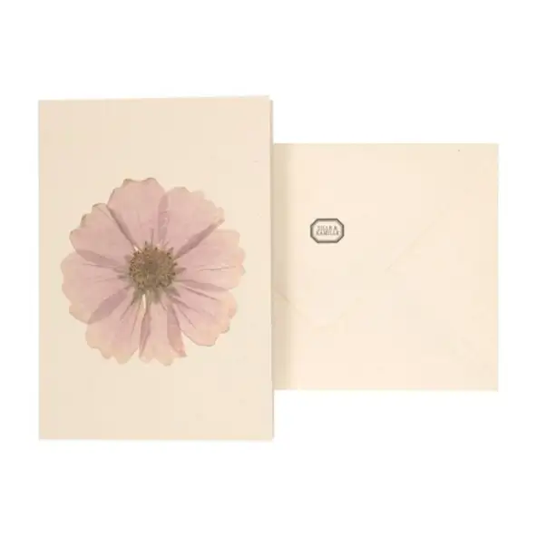 Kaart met envelop, cosmos