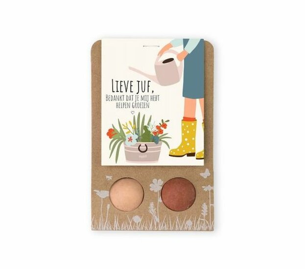 Blossombs Bloembommetjes Lieve Juf - Set van 2