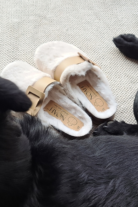 Noah  Indoorschoenen Joelina Wit