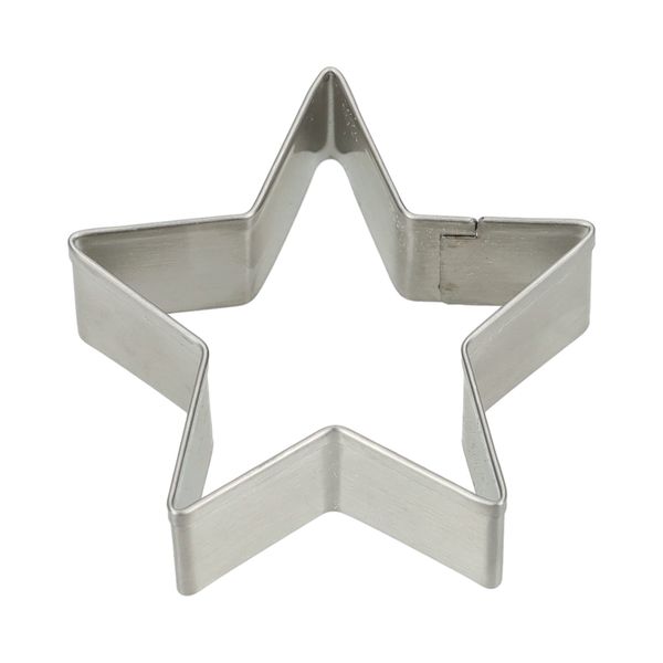 Uitsteekvorm ster, recycled rvs