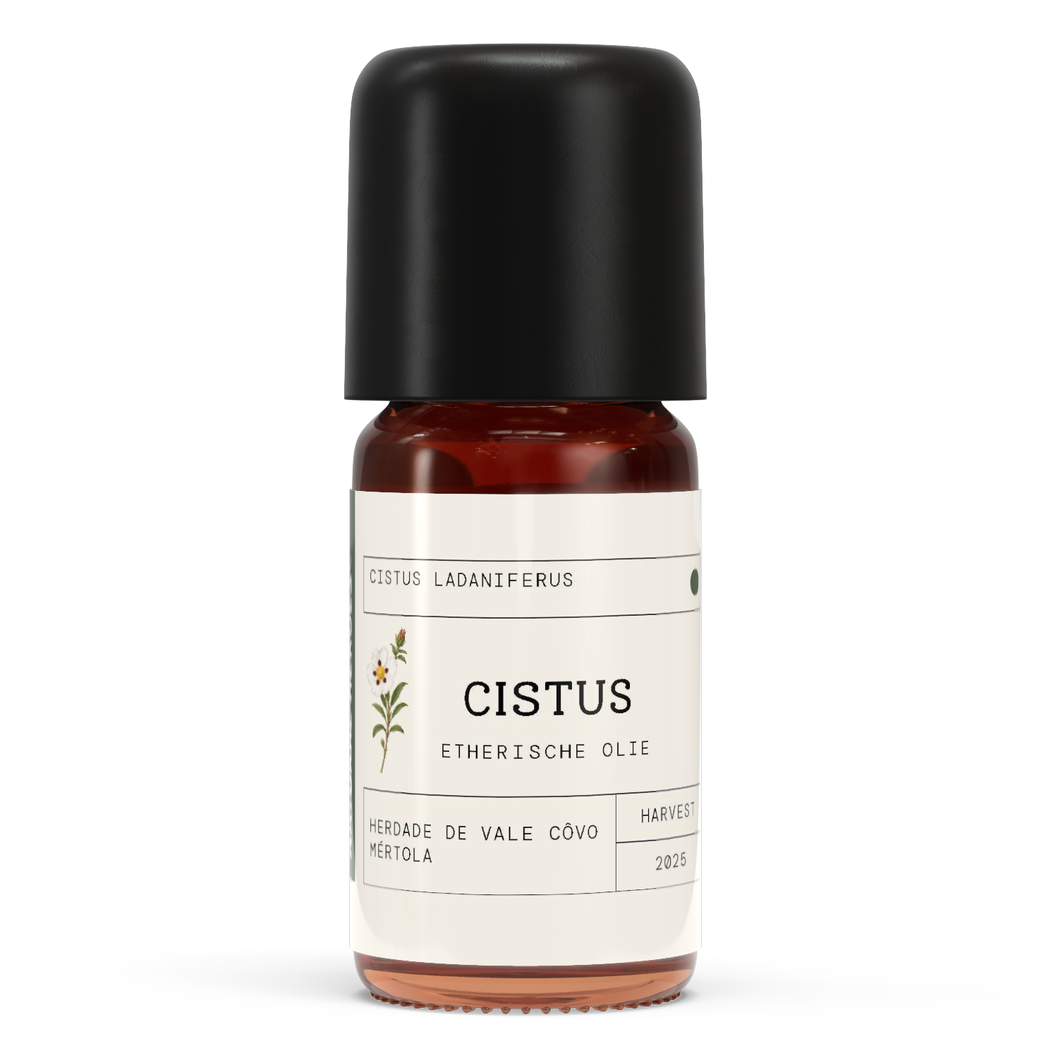 Cistus / Rock Rose EO - Cistus ladanifer