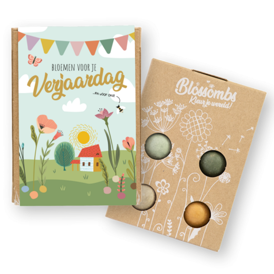 Blossombs Bloemen voor je verjaardag - Set van 4 Bloembommetjes