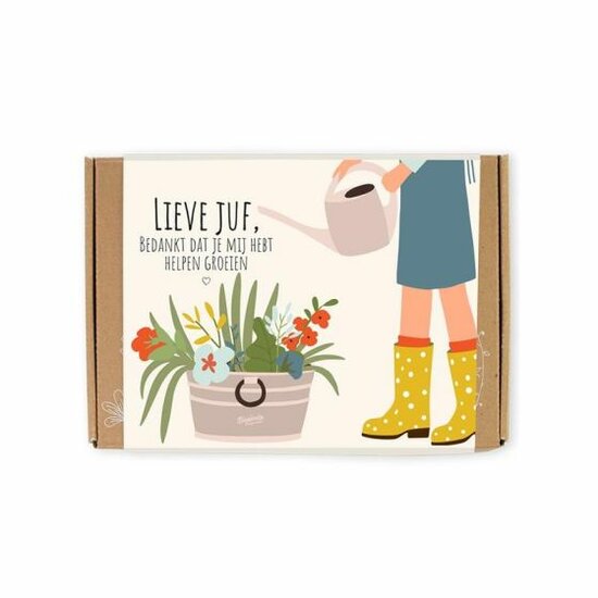Blossombs Bloembommetjes Lieve Juf - Cadeau doosje 7 stuks