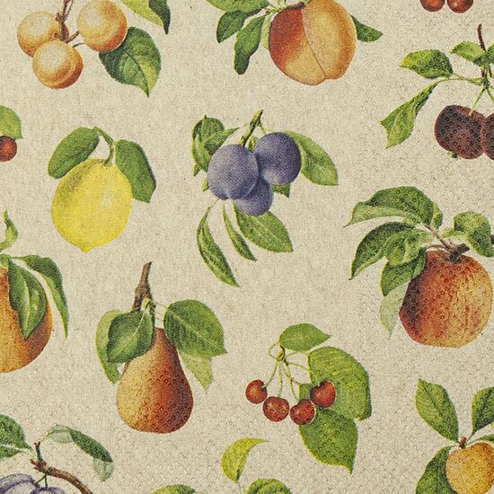 Eco Line wegwerpservet Fruit Lovers, 25x25cm gerecycled/ongebleekt