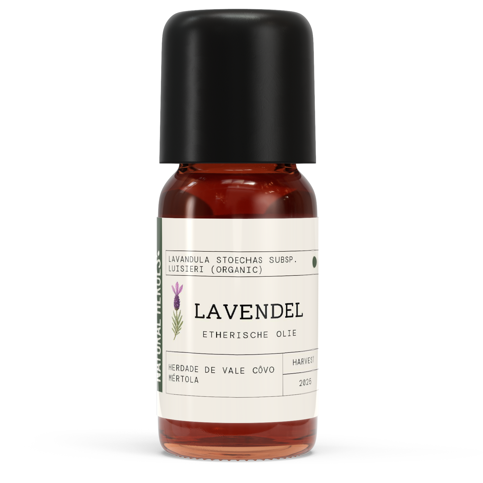Lavendel EO - Lavandula stoechas subsp. Luisieri