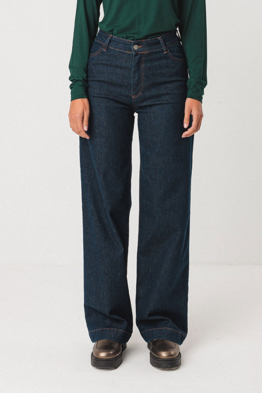 SKFK  Jeans Ainhize Blauw