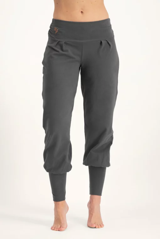Dakini Yoga Harembroek  – Ash