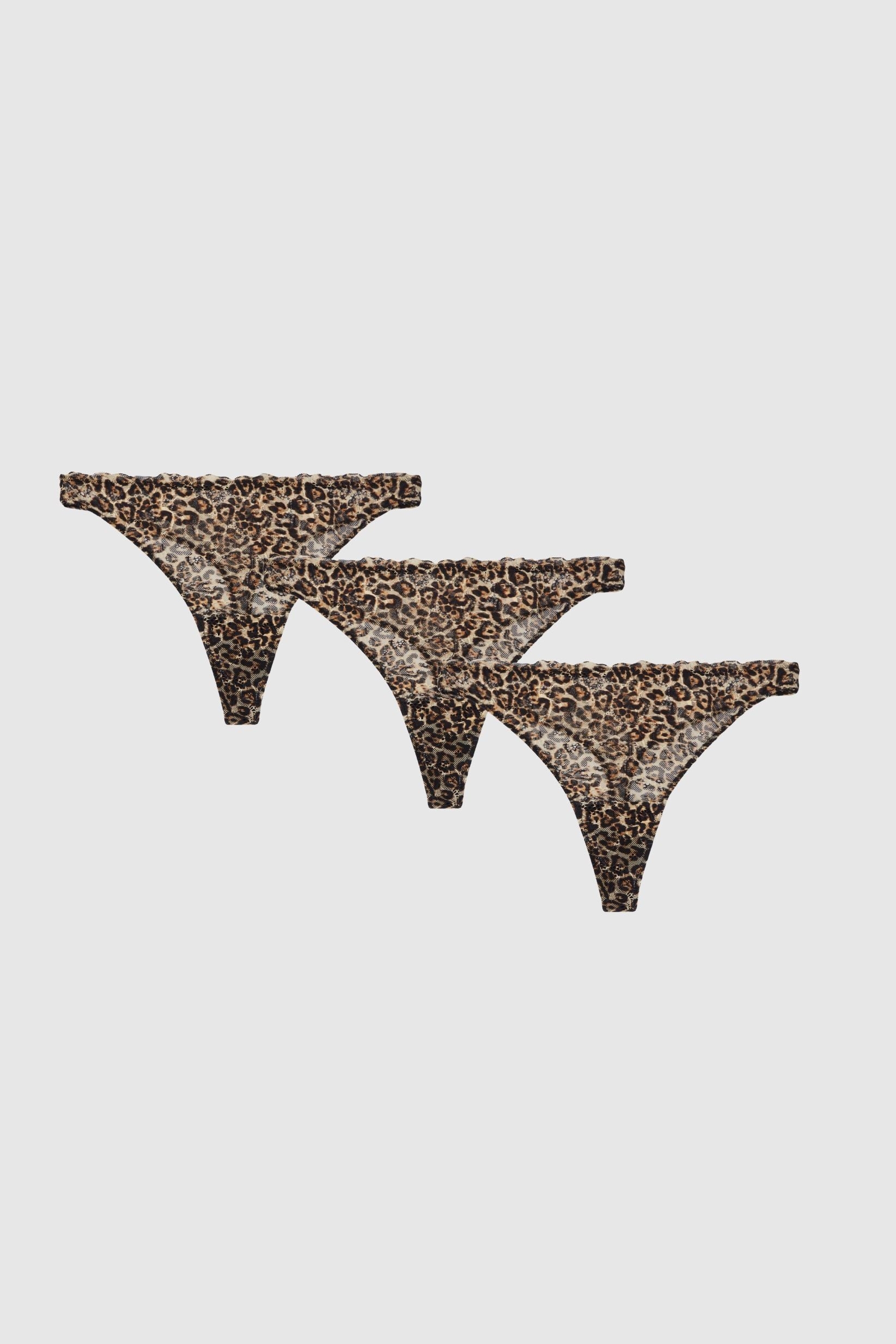 Understatement  Multipack 3x String Lace Leopard