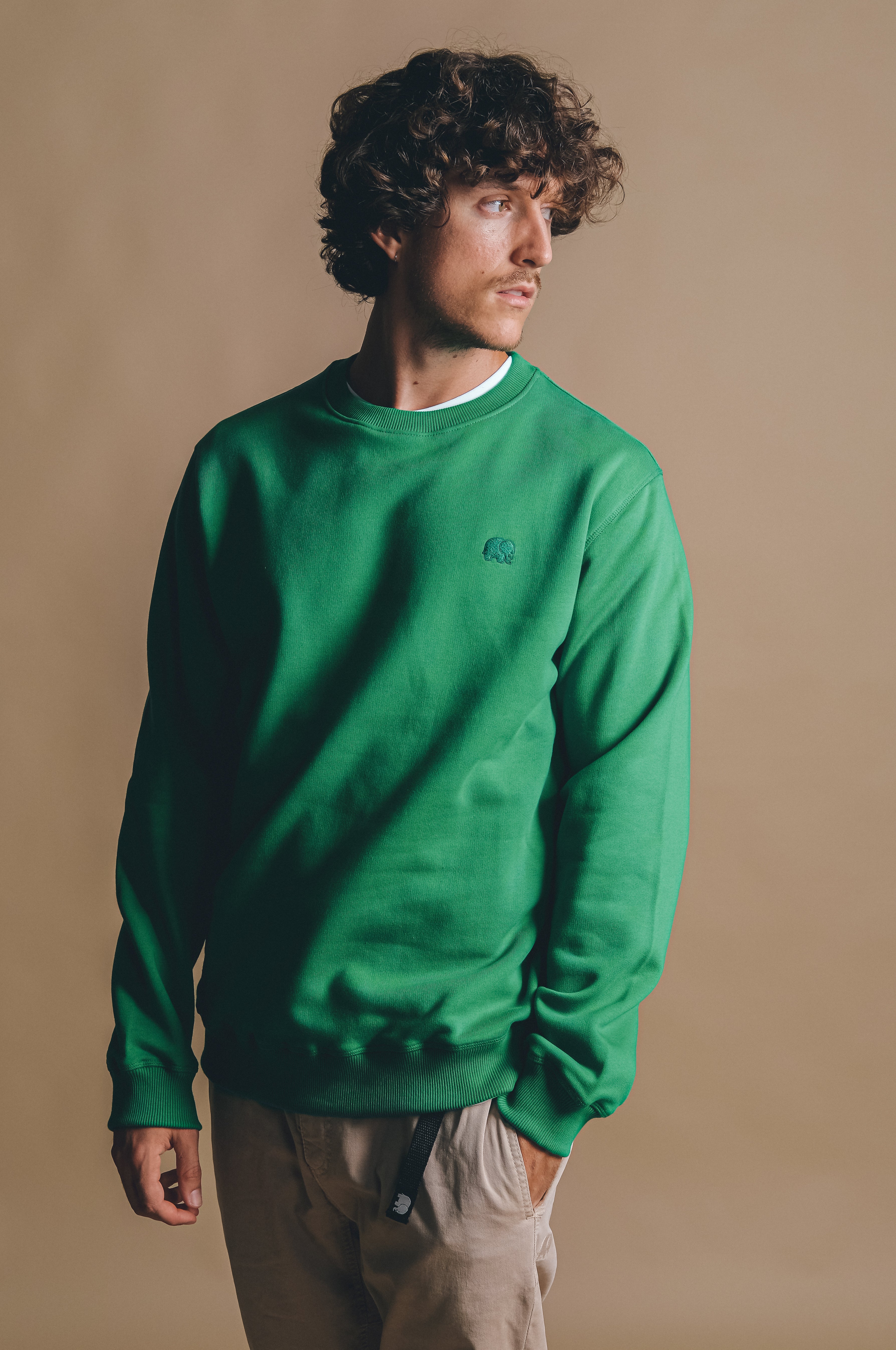 Trendsplant Sweatshirt Essential Bosphorus Groen