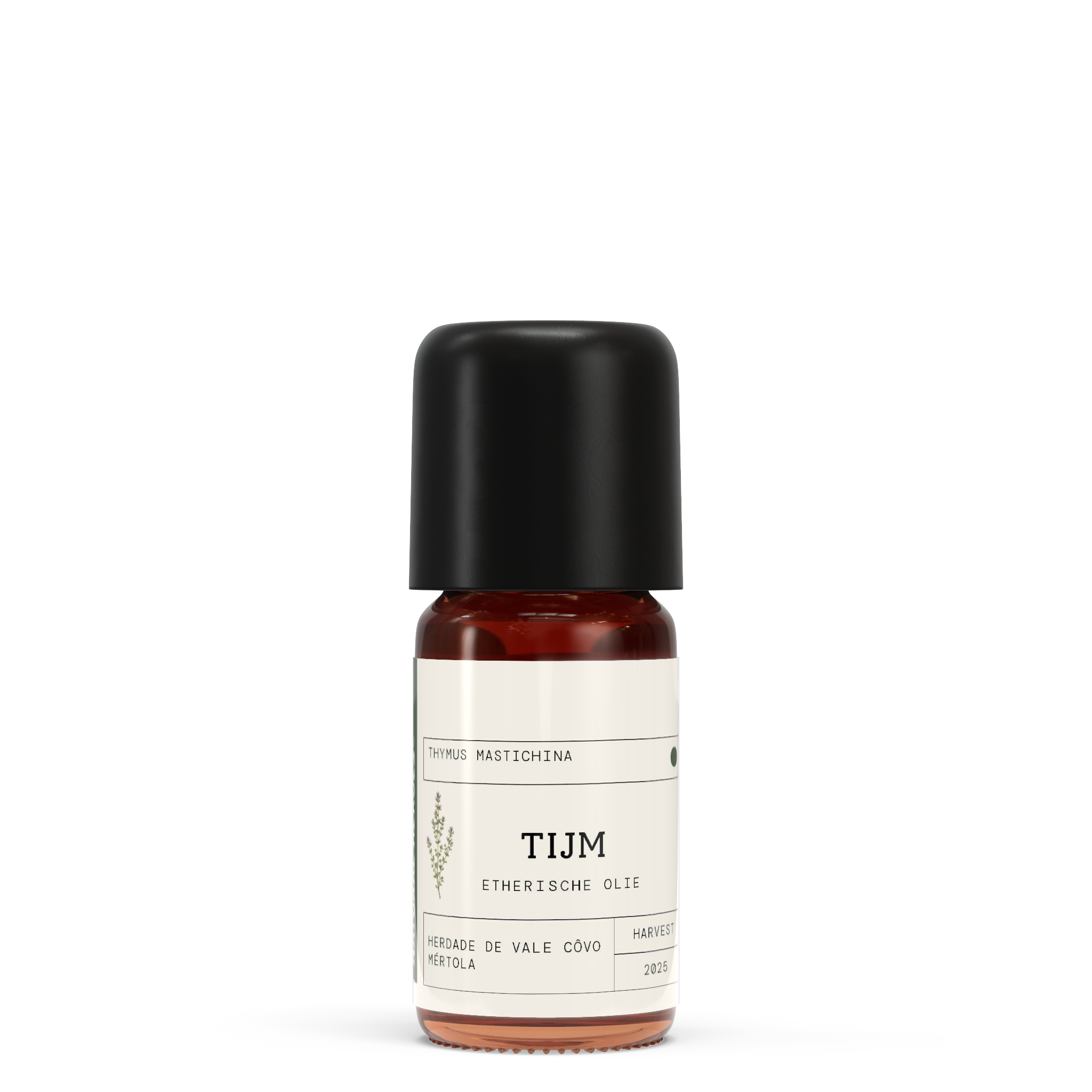 Spaanse Tijm EO - Thymus mastichina