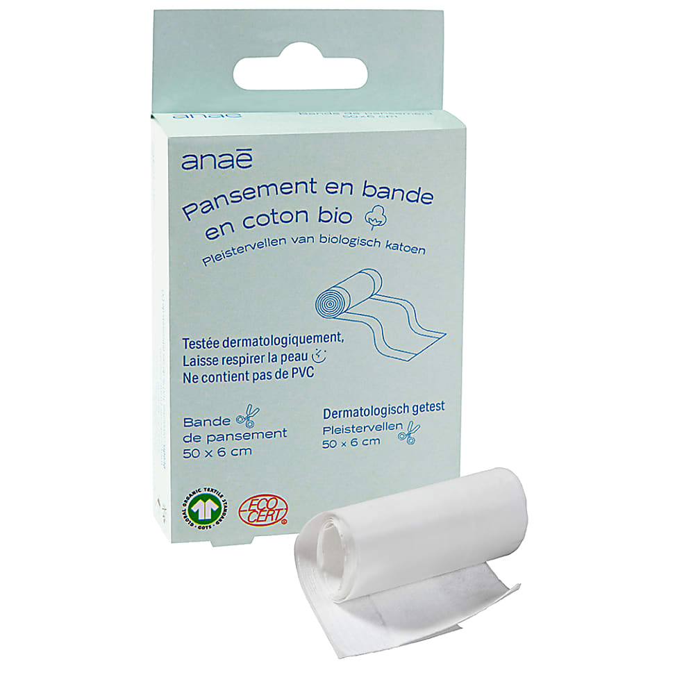 Anae Pleisterrol