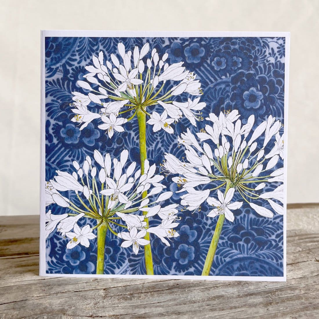 Agapanthus And Delft Greeting Cards