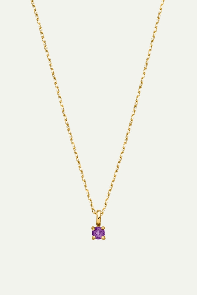 Dear Darling Berlin  Ketting Geboortesteen 14 Februari Echt Goud En Amethist