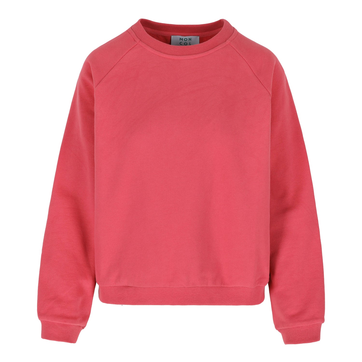 Sweater Holly Berry