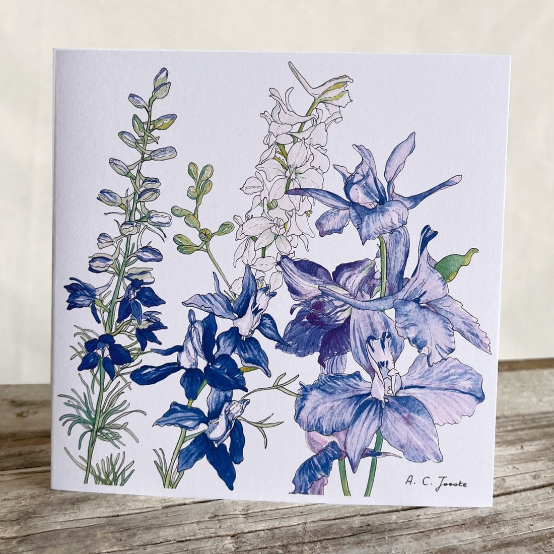 Delphinium Greeting Cards