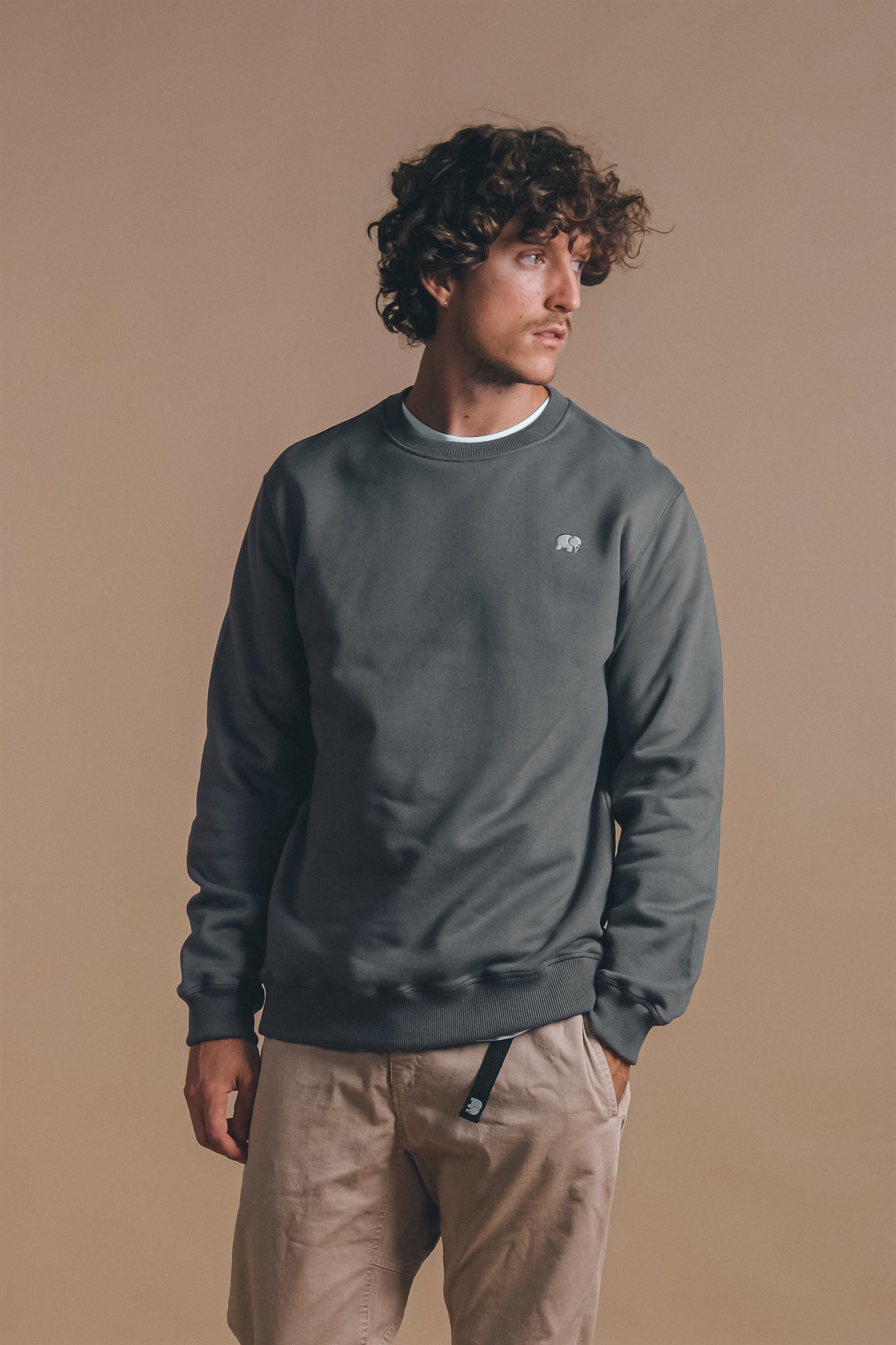 Trendsplant mannen vegan Sweatshirt Essential Thunderstorm Donkergrijs