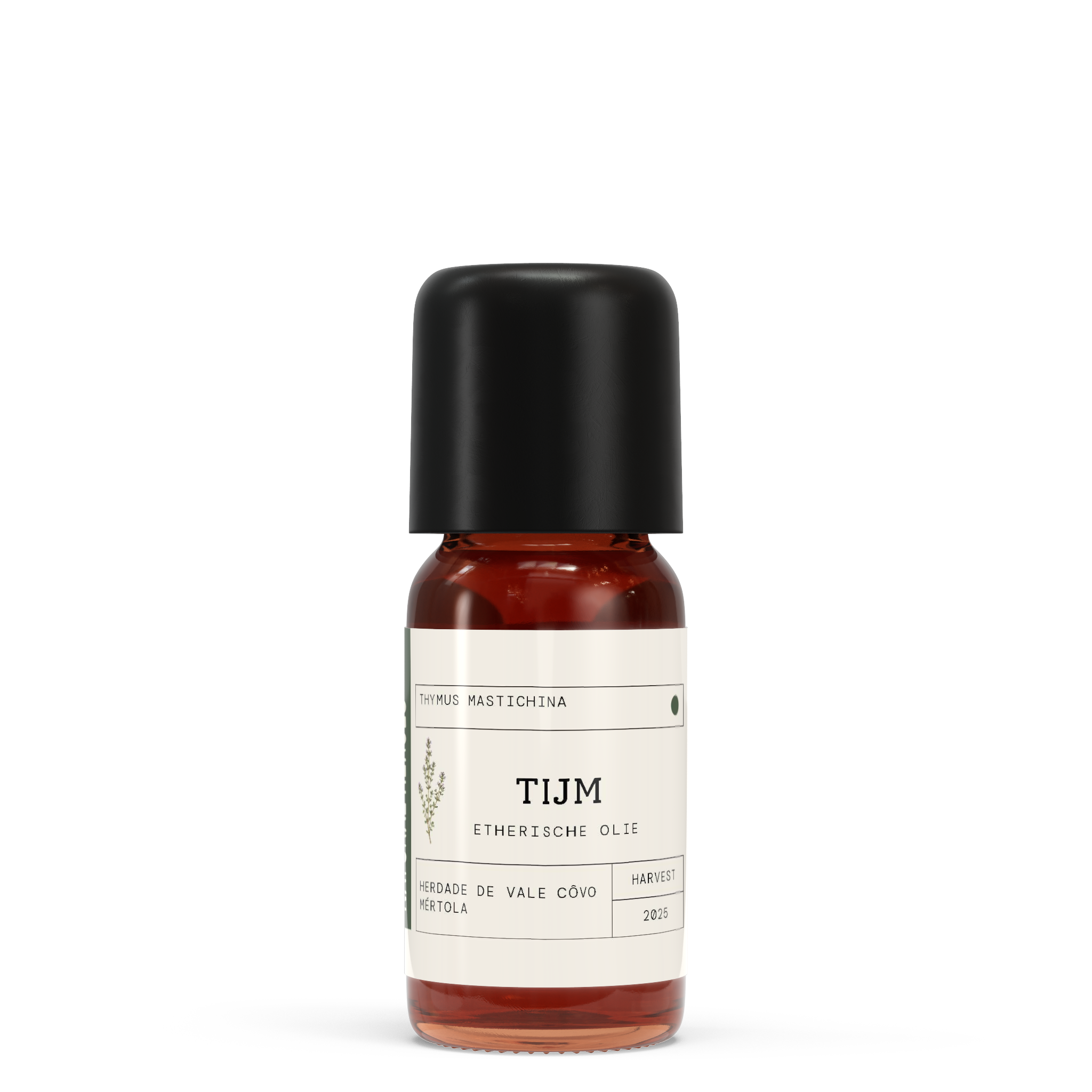 Spaanse Tijm EO - Thymus mastichina