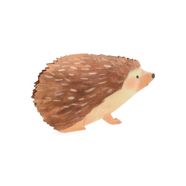 Kaart 3D met envelop, egel