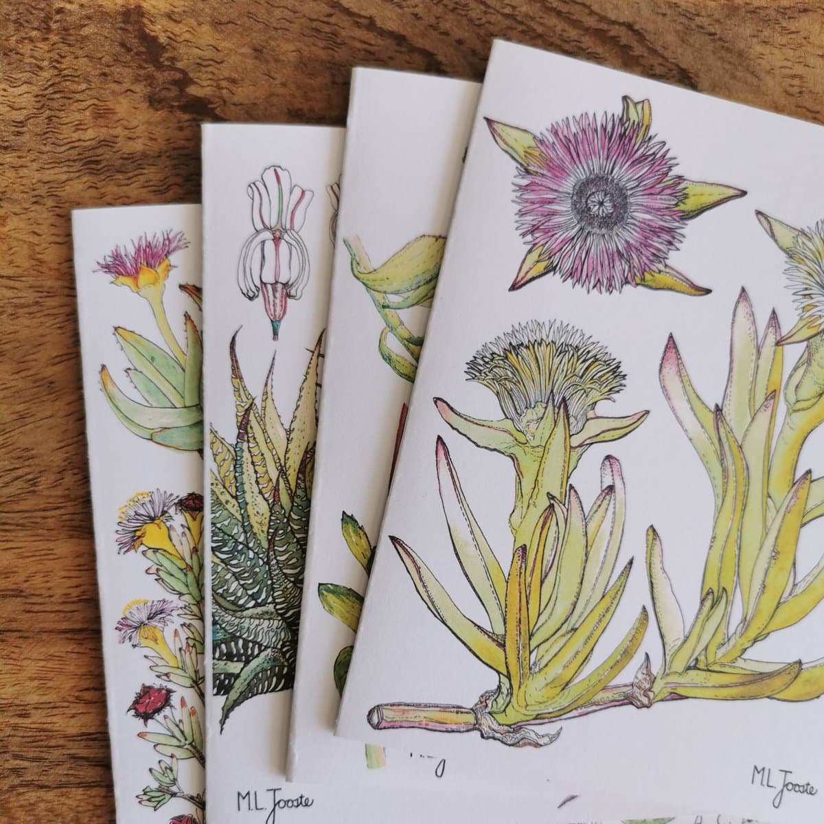 Set Of 4 Fynbos Greeting Cards