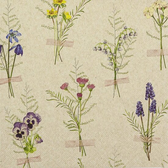 Eco Line papieren servet Herbarium print, 33x33cm gerecycled/ongebleekt