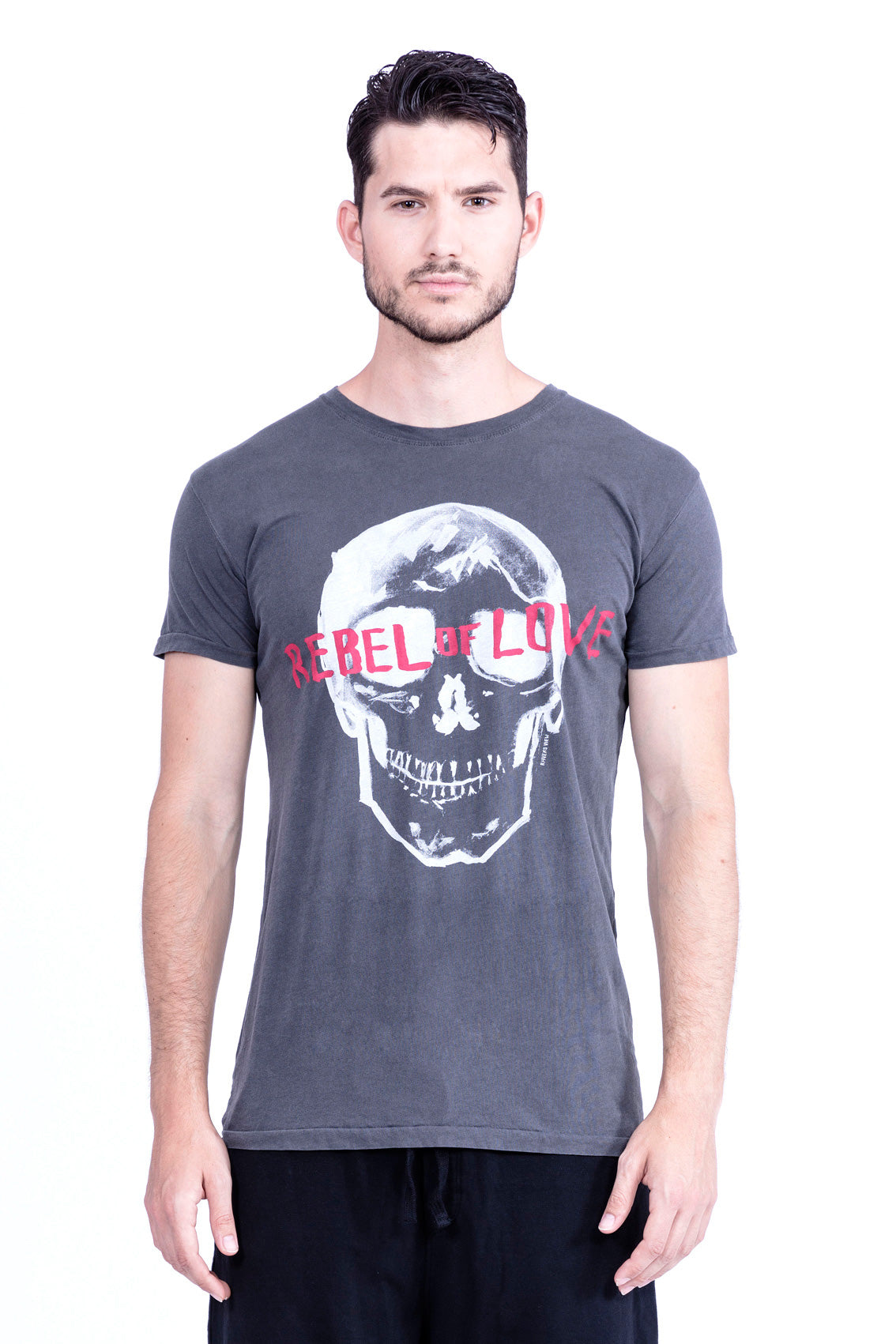 RAVENS VIEW IBIZA mannen vegan T-Shirt Rebel Of Love Antracietgrijs