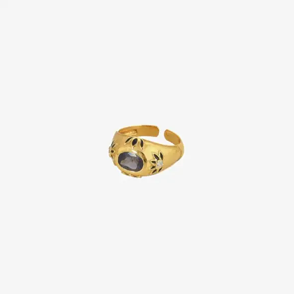Ring Amethyst | I Am Jai | Goud