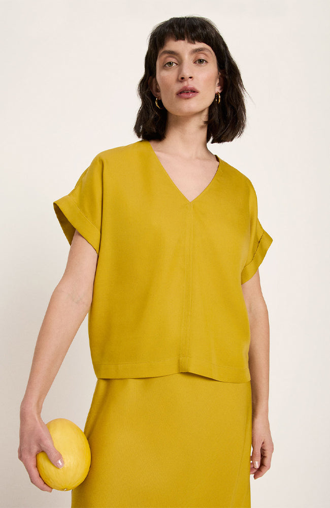 Lanius  Gele Blouse