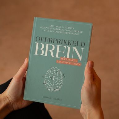 Boek Overprikkeld brein