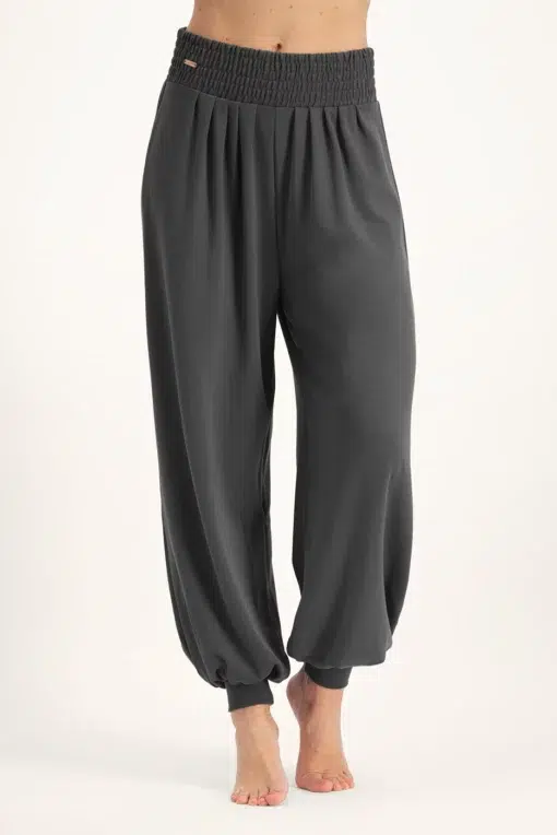 Jaya Yoga Harembroek – Ash